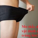 Nằm Mơ Thấy Dương Vật Đánh Số Mấy?