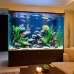 Bể cá phong thủy cho người tuổi Dần