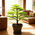 Cây Kim Ngân Hợp Tuổi Gì?