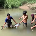 Người dân phóng sinh cá xuống sông