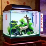 Bể cá phong thủy hợp tuổi Mùi