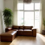 Bố trí cây cảnh trong nhà hợp tuổi Sửu