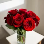 Hoa hồng đỏ hợp mệnh Hỏa