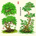 Cây phong thủy cho người mệnh Thổ