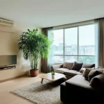 Phong thủy nhà ở tuổi Sửu