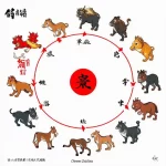 Tứ hành xung của 12 con giáp