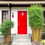 Phong thủy nhà cửa tuổi Ngọ