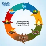 Vòng Tròn Ngũ Hành