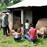Lễ cúng chuồng heo