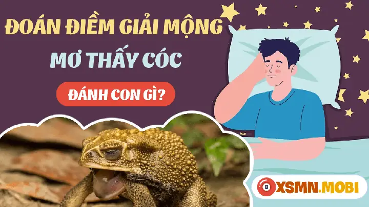 Giấc Mơ Cóc Vàng: Ý Nghĩa Từ Tâm Linh Đến Khoa Học Giấc Mơ Cóc Vàng: Ý Nghĩa Từ Tâm Linh Đến Khoa Học