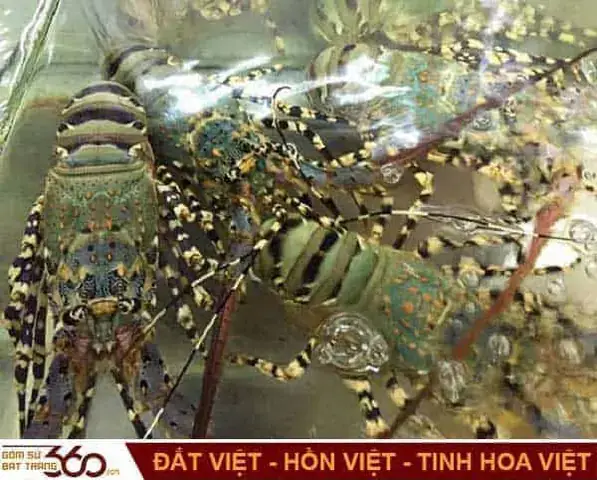 Giấc Mơ Thấy Cúng Bái: Ý Nghĩa Tâm Linh, Điềm Báo Và Con Số May Mắn Giấc Mơ Thấy Cúng Bái: Ý Nghĩa Tâm Linh, Điềm Báo Và Con Số May Mắn