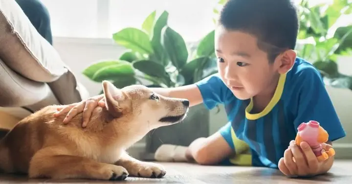 Nằm Mơ Thấy Cứu Chó Là Điềm Gì? Giải Mã Chi Tiết Từng Tình Huống Nằm Mơ Thấy Cứu Chó Là Điềm Gì? Giải Mã Chi Tiết Từng Tình Huống