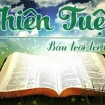 Giấc Mơ Thấy Dưa Leo: Giải Mã Ý Nghĩa Từ Tâm Lý Đến Điềm Báo