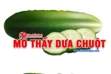 Giấc Mơ Thấy Dưa Leo: Giải Mã Ý Nghĩa Từ Tâm Lý Đến Điềm Báo Giấc Mơ Thấy Dưa Leo: Giải Mã Ý Nghĩa Từ Tâm Lý Đến Điềm Báo