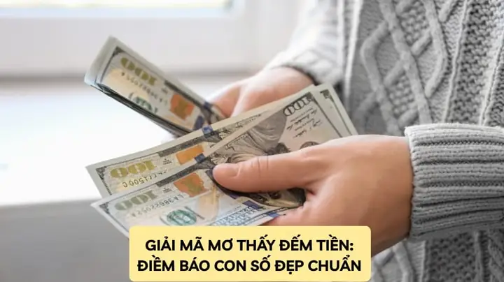 Giấc Mơ Đếm Tiền: Giải Mã Ý Nghĩa Từ Tâm Linh Đến Tâm Lý Giấc Mơ Đếm Tiền: Giải Mã Ý Nghĩa Từ Tâm Linh Đến Tâm Lý