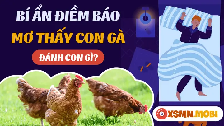 Nằm Mơ Thấy Gà: Ý Nghĩa, Điềm Báo Và Con Số May Mắn
