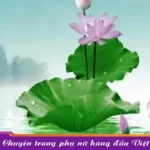 Nằm Mơ Thấy Lá Sen: Tất Tần Tật Ý Nghĩa Bạn Cần Biết