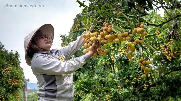 Mơ Thấy Ăn Trái Cây: Phân Tích Khoa Học Và Giá Trị Thực Tiễn