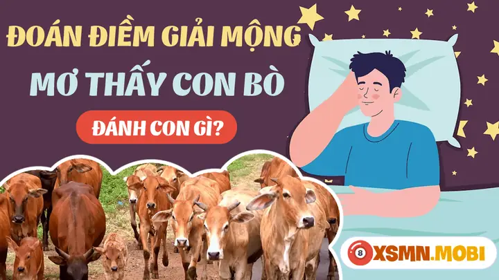 Mơ Thấy Con Bò Vàng Có Ý Nghĩa Gì? Giải Nghĩa Chi Tiết Từ A-z