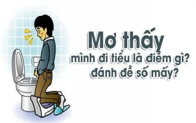Mơ Thấy Đi Tiểu Bày: Ý Nghĩa Và Phân Tích Chi Tiết