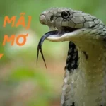 Giấc Mơ Giết Rắn Xanh: Ý Nghĩa Tâm Lý Và Thông Điệp Từ Vô Thức