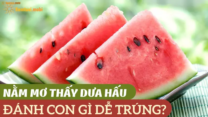Mơ Thấy Hạt Dưa Hấu: Giải Mã Ý Nghĩa Tâm Linh Và Dự Báo Thực Tế Mơ Thấy Hạt Dưa Hấu: Giải Mã Ý Nghĩa Tâm Linh Và Dự Báo Thực Tế