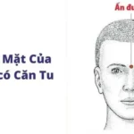 Mơ Thấy Kính Đeo Mắt: Giải Mã 10 Ý Nghĩa Từ Sức Khỏe Đến Tâm Linh