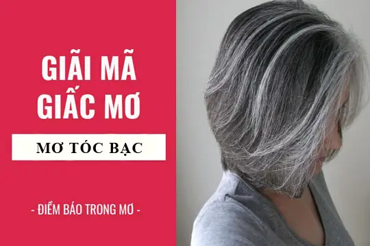 Mơ Thấy Tóc Bạc Ít: Giải Mã Ý Nghĩa Từ Tâm Lý Đến Dân Gian Mơ Thấy Tóc Bạc Ít: Giải Mã Ý Nghĩa Từ Tâm Lý Đến Dân Gian
