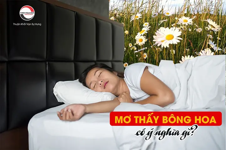 Giấc Mơ Được Tặng Hoa: Ý Nghĩa Từ Tâm Lý Đến Văn Hóa Giấc Mơ Được Tặng Hoa: Ý Nghĩa Từ Tâm Lý Đến Văn Hóa