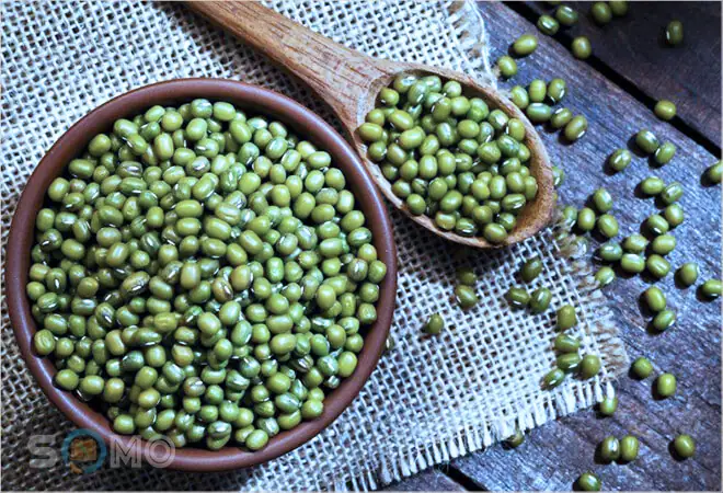 Mơ Thấy Hạt Đậu Xanh: Ý Nghĩa Từ Truyền Thống Đến Thực Tế Mơ Thấy Hạt Đậu Xanh: Ý Nghĩa Từ Truyền Thống Đến Thực Tế