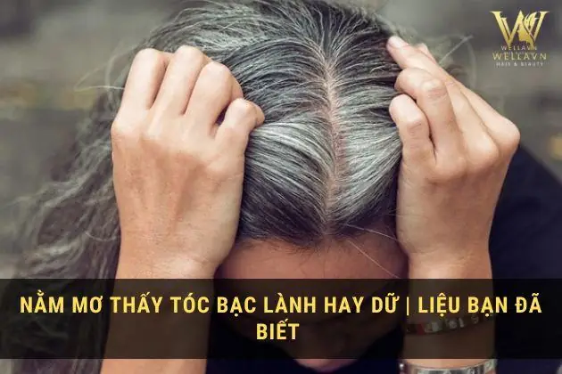 Mơ Thấy Tóc Bạc Ít: Giải Mã Ý Nghĩa Từ Tâm Lý Đến Dân Gian Mơ Thấy Tóc Bạc Ít: Giải Mã Ý Nghĩa Từ Tâm Lý Đến Dân Gian