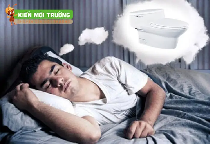Mơ Thấy Đi Tiểu Bày: Ý Nghĩa Và Phân Tích Chi Tiết