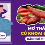Mơ Thấy Khoai Lang Chín Là Điềm Báo Gì? Ý Nghĩa Và Lời Giải Nghĩa Chi Tiết
