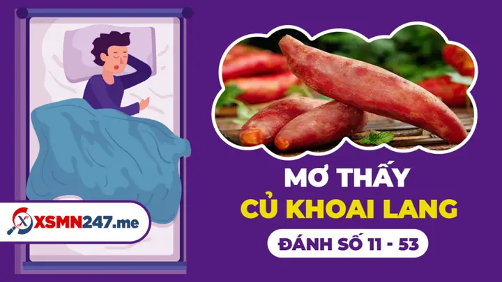 Mơ Thấy Khoai Lang Chín Là Điềm Báo Gì? Ý Nghĩa Và Lời Giải Nghĩa Chi Tiết
