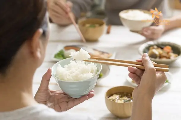 Nằm Mơ Thấy Ăn Cơm Trắng: Giải Mã Ý Nghĩa Từ Góc Độ Văn Hóa, Tâm Lý Và Sống Thực Tế Nằm Mơ Thấy Ăn Cơm Trắng: Giải Mã Ý Nghĩa Từ Góc Độ Văn Hóa, Tâm Lý Và Sống Thực Tế