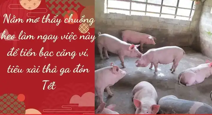 Nằm Mơ Thấy Chuồng Heo: Giải Mã Ý Nghĩa, Điềm Báo Và Con Số May Mắn Nằm Mơ Thấy Chuồng Heo: Giải Mã Ý Nghĩa, Điềm Báo Và Con Số May Mắn
